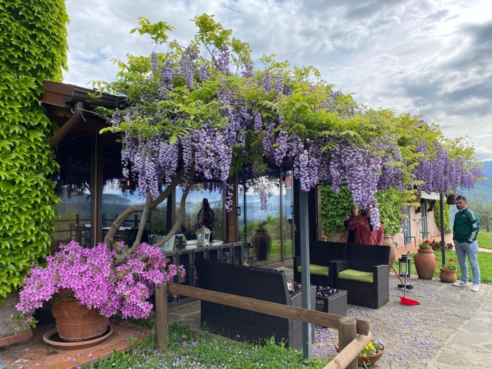 Agriturismo Ca Di Rossi Villa Mulazzo Dış mekan fotoğraf